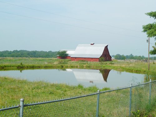 Property photo 15 - 480+/- Acres Offered in 6 Tracts
